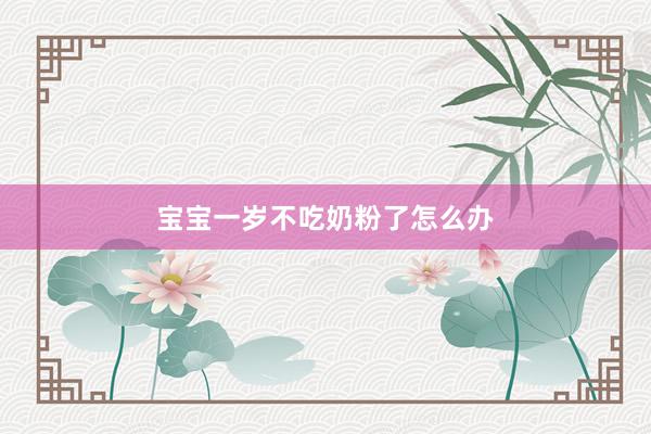 宝宝一岁不吃奶粉了怎么办