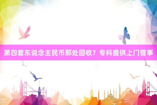 第四套东说念主民币那处回收？专科提供上门管事