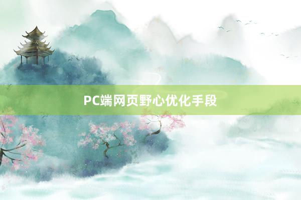 PC端网页野心优化手段